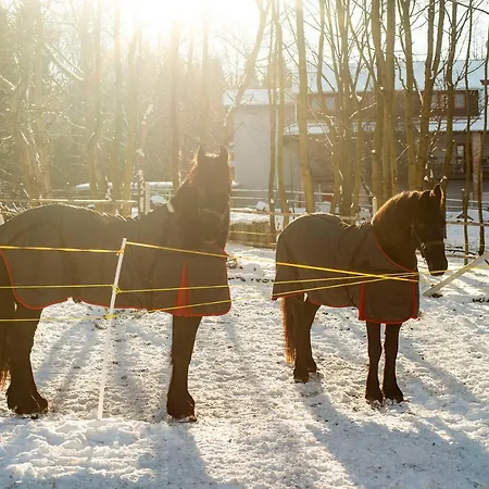 Gæstehus Natali Vendeghaz Es Etterem Matra Matraszentlaszlo