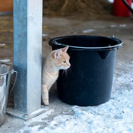 Natali Vendeghaz Es Etterem Matra