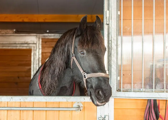 Natali Vendeghaz Es Etterem Matra Matraszentlaszlo