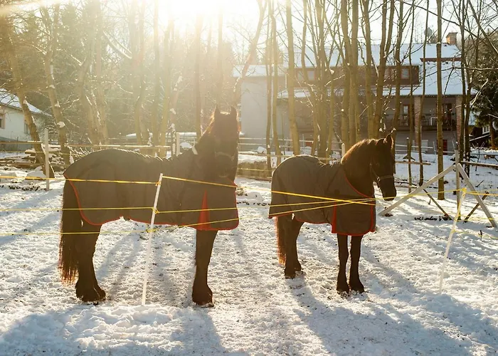 Pensjonat Natali Vendeghaz Es Etterem Matra Matraszentlaszlo