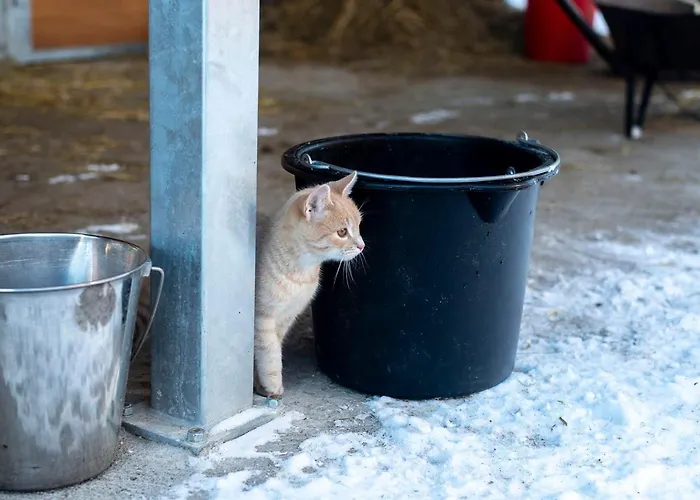 Natali Vendeghaz Es Etterem Matra